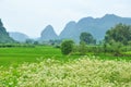 Beautiful karst rural scenery at Guilin, China Royalty Free Stock Photo