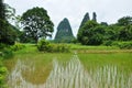 Beautiful karst rural scenery at Guilin, China Royalty Free Stock Photo