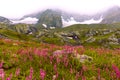 Beautiful Kashmir Great lakes trek in hill station of Sonamarg Royalty Free Stock Photo