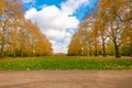 Beautiful Kensington Gardens the Royal Parks for walked and relaxed, London.