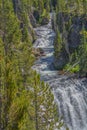 The beautiful Kepler Cascades Waterfall on the Firehole River. Southwestern Yellowstone National Park in the Rocky Mountains, Park Royalty Free Stock Photo