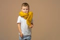 Beautiful kid boy wearing casual t-shirt and yellow scarf standing over isolated light background with thermometer in