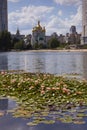 Beautiful Kiev city park lake of lotuses with many multi-colored water lilies