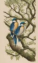 Beautiful king fisher on tree AI generated