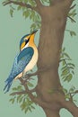 Beautiful king fisher on tree AI generated