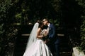 Beautiful kiss of the couple in love in the park