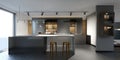 Beautiful kitchen with dark furniture of an new loft