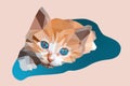 A beautiful kitten on a pillow looks with blue eyes. Low poly vector drawing