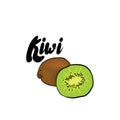 Beautiful kiwi. Vector illustration. Tropical fruits.