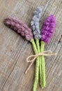 Beautiful knitted lavender flower
