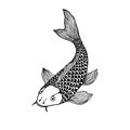 Beautiful koi carp fish illustration in monochrome. Symbol of love, friendship and prosperity