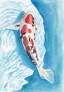 Beautiful Koi carps circling underwater watercolor illustration