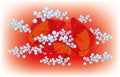 Beautiful Koi carps