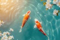 The beautiful koi fish in pond in the garden Royalty Free Stock Photo