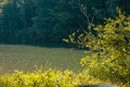 Beautiful kolpa river on the south border of slovenia, on a sunny day just after the rain has fallen as it can be seen from the