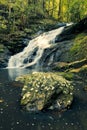 Kondalilla Falls in Kondalilla Falls National Park.