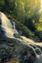 Kondalilla Falls in Kondalilla Falls National Park.