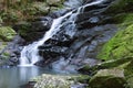 Beautiful Kondalilla Waterfall.