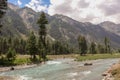 Beautiful kumrat valley forest mountains