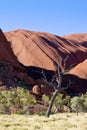 Australia, Northern Territory, Ayers Rock, Uluru