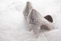 Beautiful lace shoes for bride