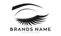 Beautiful ladies eyelashes illustration vector logo