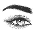 Beautiful lady eye sketch