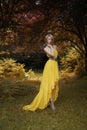 Beautiful lady in fairy forest Royalty Free Stock Photo