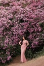 Woman in pink dress under the lilac tree Royalty Free Stock Photo