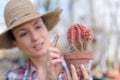 Beautiful lady in plant nursery working on cactus plants Royalty Free Stock Photo