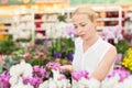 Beautiful lady smelling colorful blooming orchids. Royalty Free Stock Photo