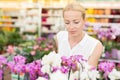 Beautiful lady smelling colorful blooming orchids. Royalty Free Stock Photo