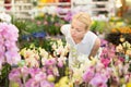 Beautiful lady smelling colorful blooming orchids. Royalty Free Stock Photo