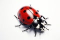Beautiful ladybug. Generative AI Royalty Free Stock Photo
