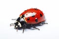 Beautiful ladybug. Generative AI Royalty Free Stock Photo