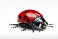 Beautiful ladybug. Generative AI Royalty Free Stock Photo