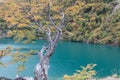 Beautiful Lago del Desierto in Los Glaciares National Park