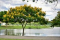 The beautiful lagoon of the Centenary Park of Mogi das Cruzes