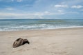 The Laguna beach, at SAii Hotel, Phuket island, Thailand