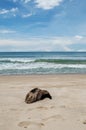 The Laguna beach, at SAii Hotel, Phuket island, Thailand