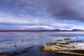 Beautiful Laguna Colorada in Bolivia