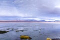 Beautiful Laguna Colorada in Bolivia