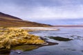 Beautiful Laguna Colorada in Bolivia