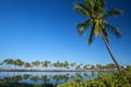 Beautiful laguna with palm trees, blue sky