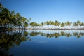 Beautiful laguna with palm trees, blue sky Royalty Free Stock Photo