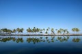 Beautiful laguna with palm trees, blue sky