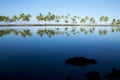 Beautiful laguna with palm trees, blue sky