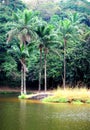 Beautiful lake in Africa.