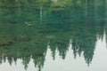 The turquoise water of the beautiful Lago di Carezza, Italy with two ducks and reflections Royalty Free Stock Photo