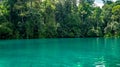 Beautiful lake with clear turquoise water surrounded by green vegetation. Labuhan Cermin, Berau, Indonesia Royalty Free Stock Photo